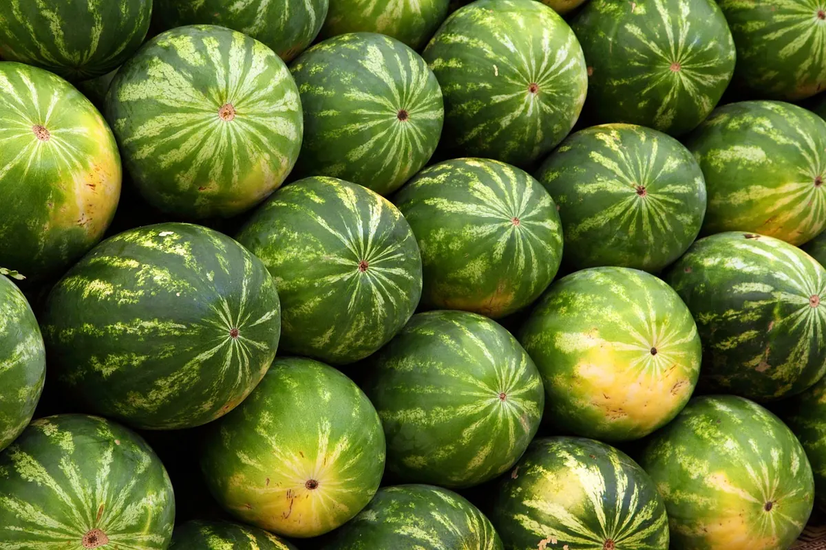 Borough Farmers Market Season Guide: What's in Season Month by Month